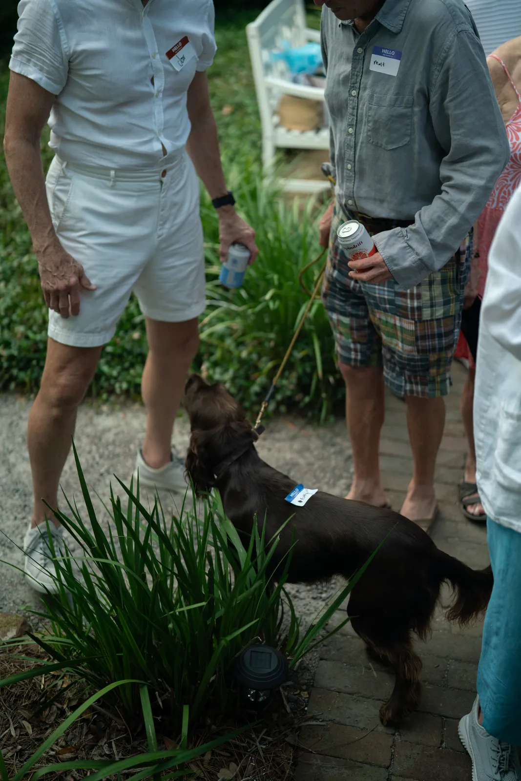 Neighbors gathered at the June 9 HVA Garden Party
