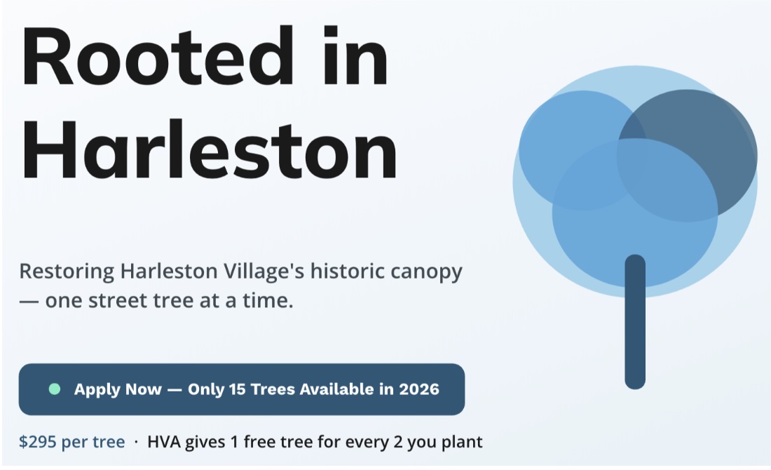 Rooted in Harleston tree canopy campaign